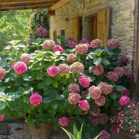 Casa La Valle, Gubbio, Frazione Santa Cristina Bed and Breakfast Buitenkant foto