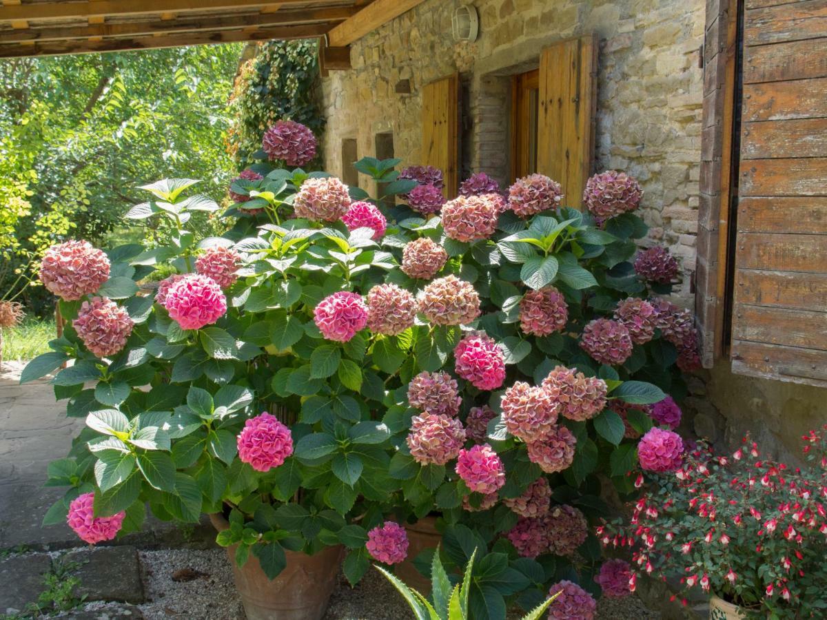 Casa La Valle, Gubbio, Frazione Santa Cristina Bed and Breakfast Buitenkant foto